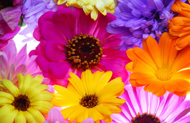 服務(wù)一站式